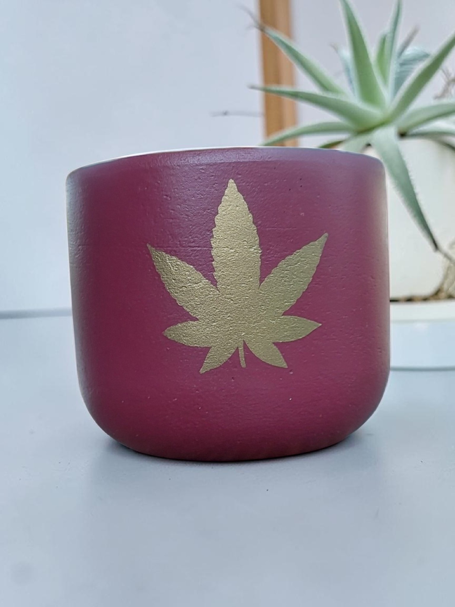4" Terracotta Pot