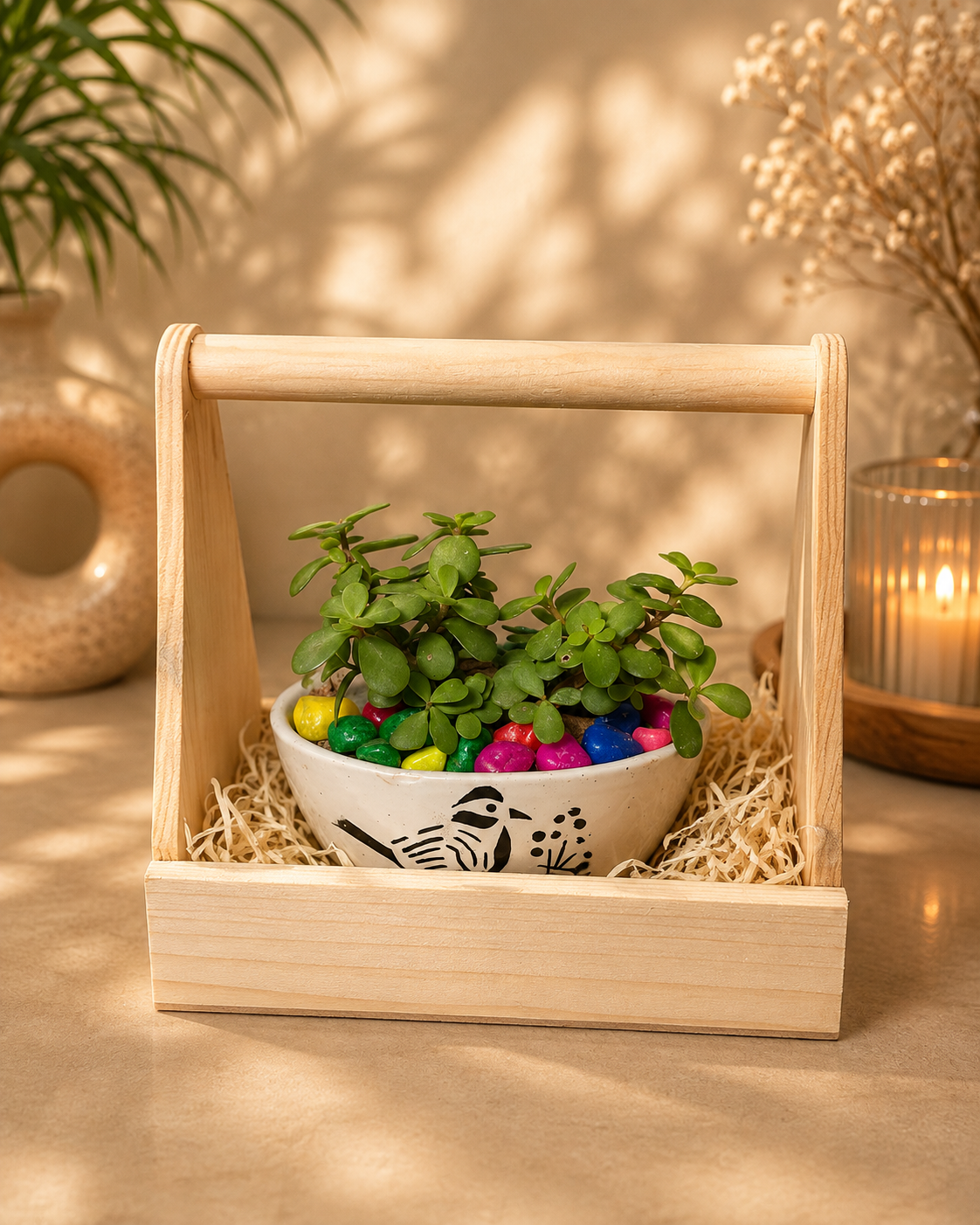 Jade plant with premium wood box